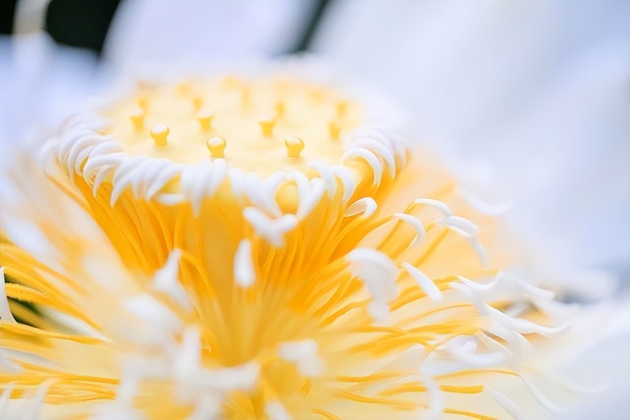 一个家庭气运不好的表现,一个家庭越来越有福气的三个迹象