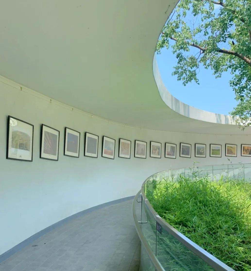 中国丝绸博物馆和中国之江博物馆,博物馆中国的服装