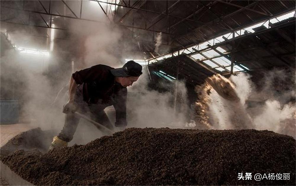 真全粮酿酒设备怎么样,真全粮蒸酒教学