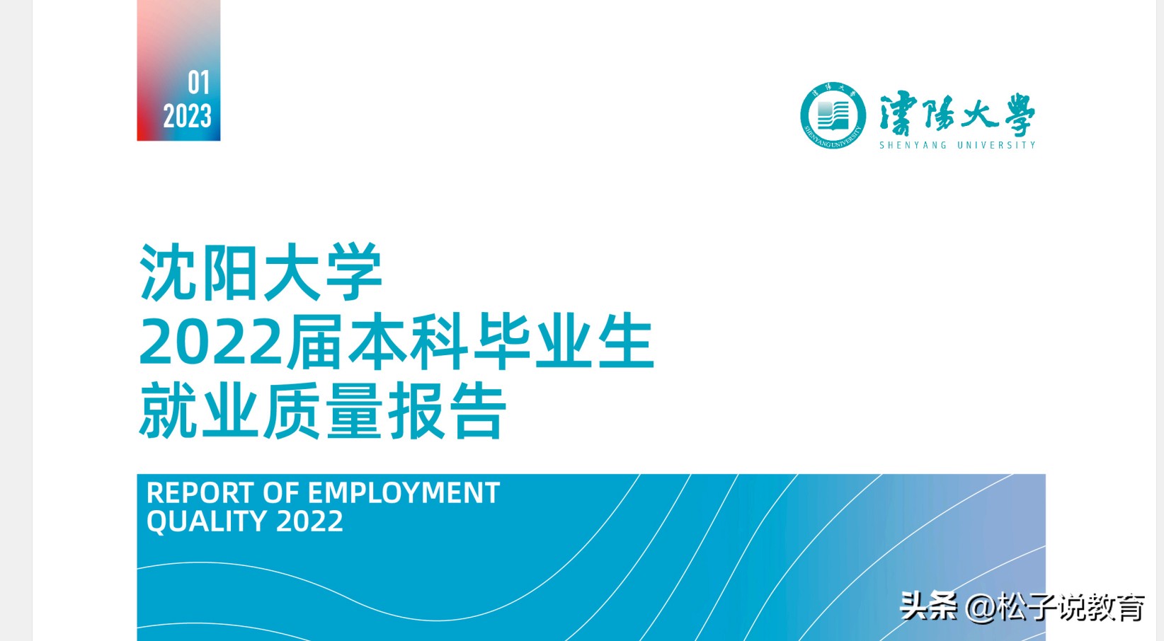 渤海大学与沈阳理工哪个好,渤海大学和辽宁大学哪个好