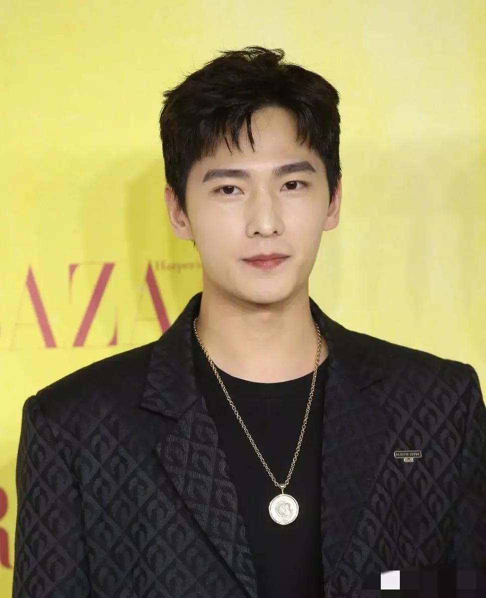 全国各省帅哥排行榜,盘点全网最帅的帅哥排名榜