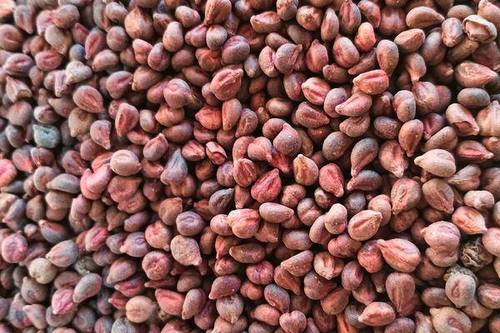 保健品骗术大揭秘不要再被坑了,三种保健品骗人