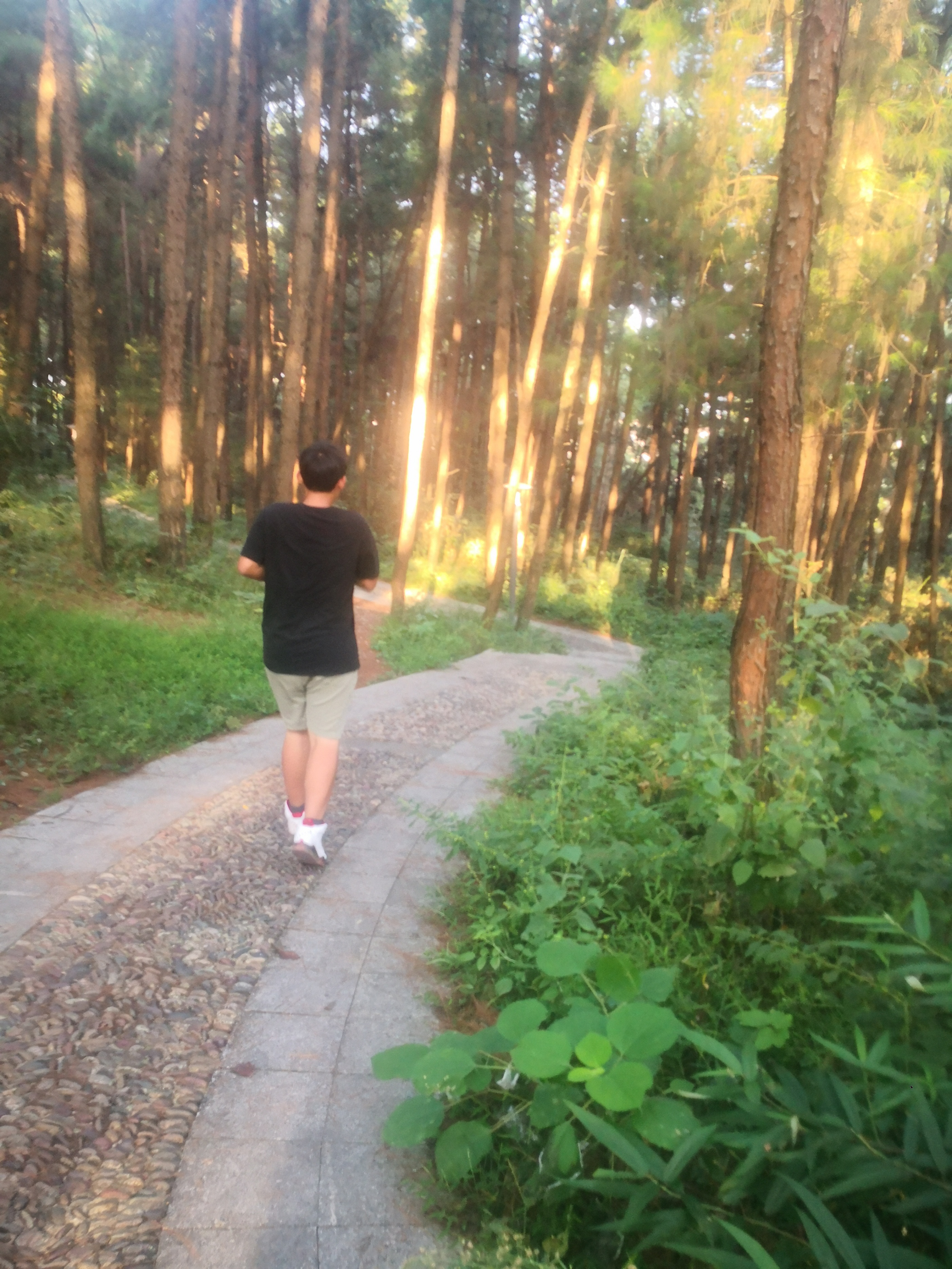 美团评价积分怎么用,积分管理系统推荐