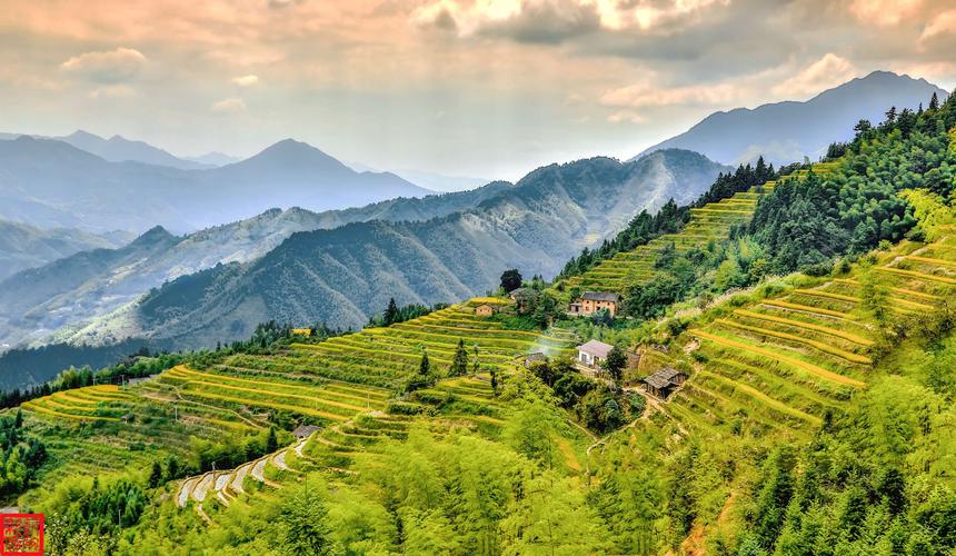 株洲和醴陵哪个强,株洲vs襄阳综合实力