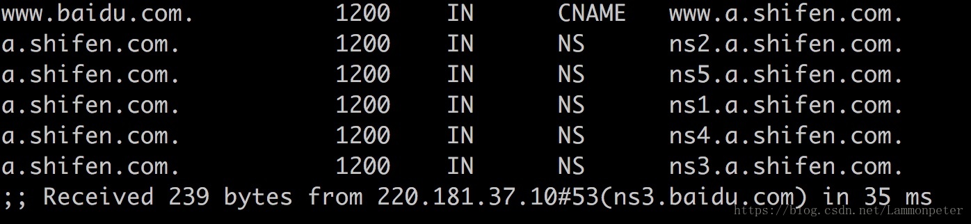 看懂dns解析,dns记录详解