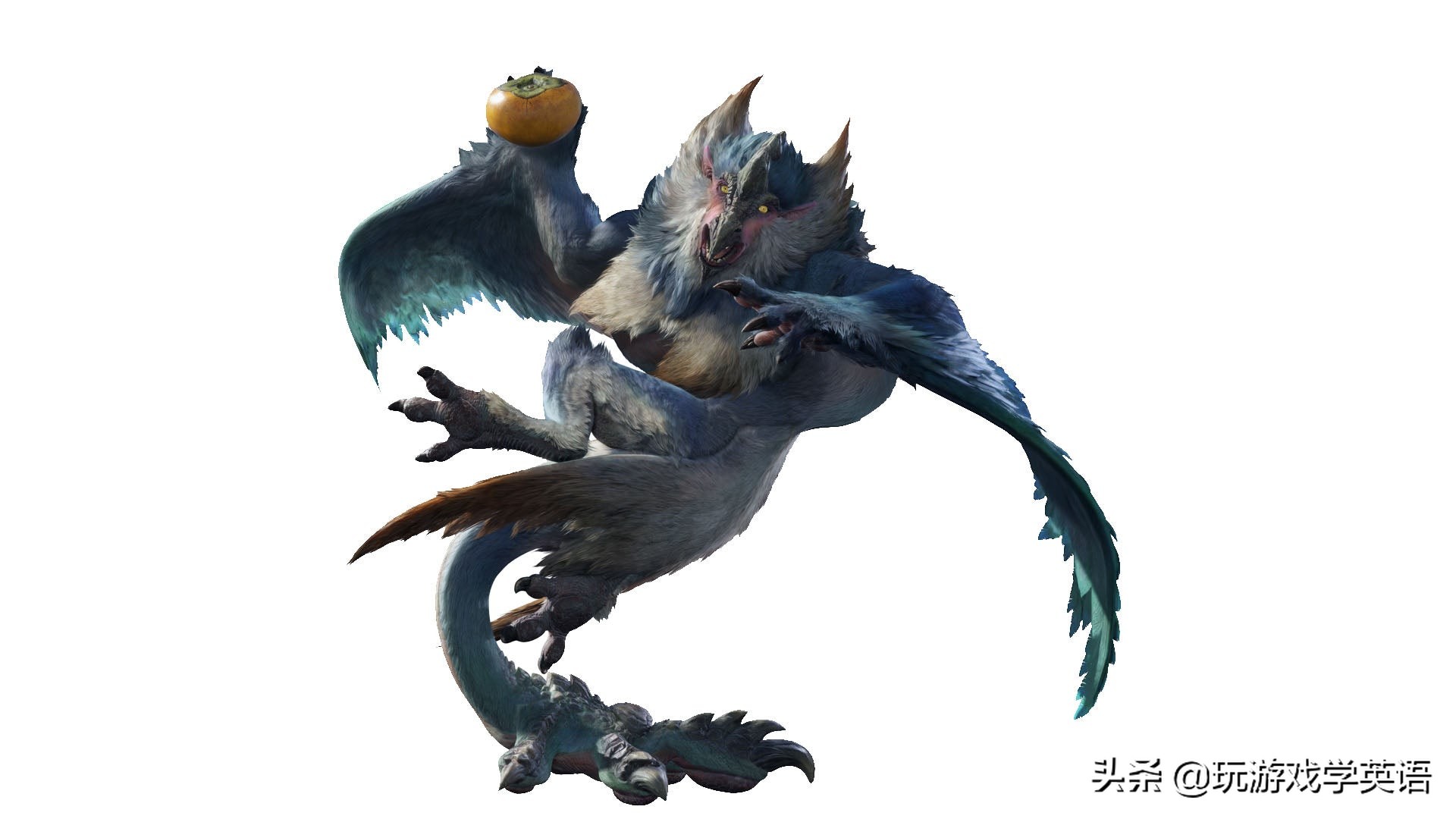 怪物猎人崛起英文,怪物猎人崛起switch英文