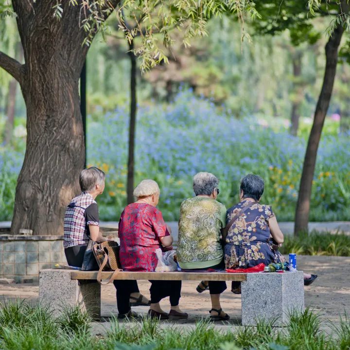 洛阳是宜居城市吗,洛阳是一个宜居城市吗