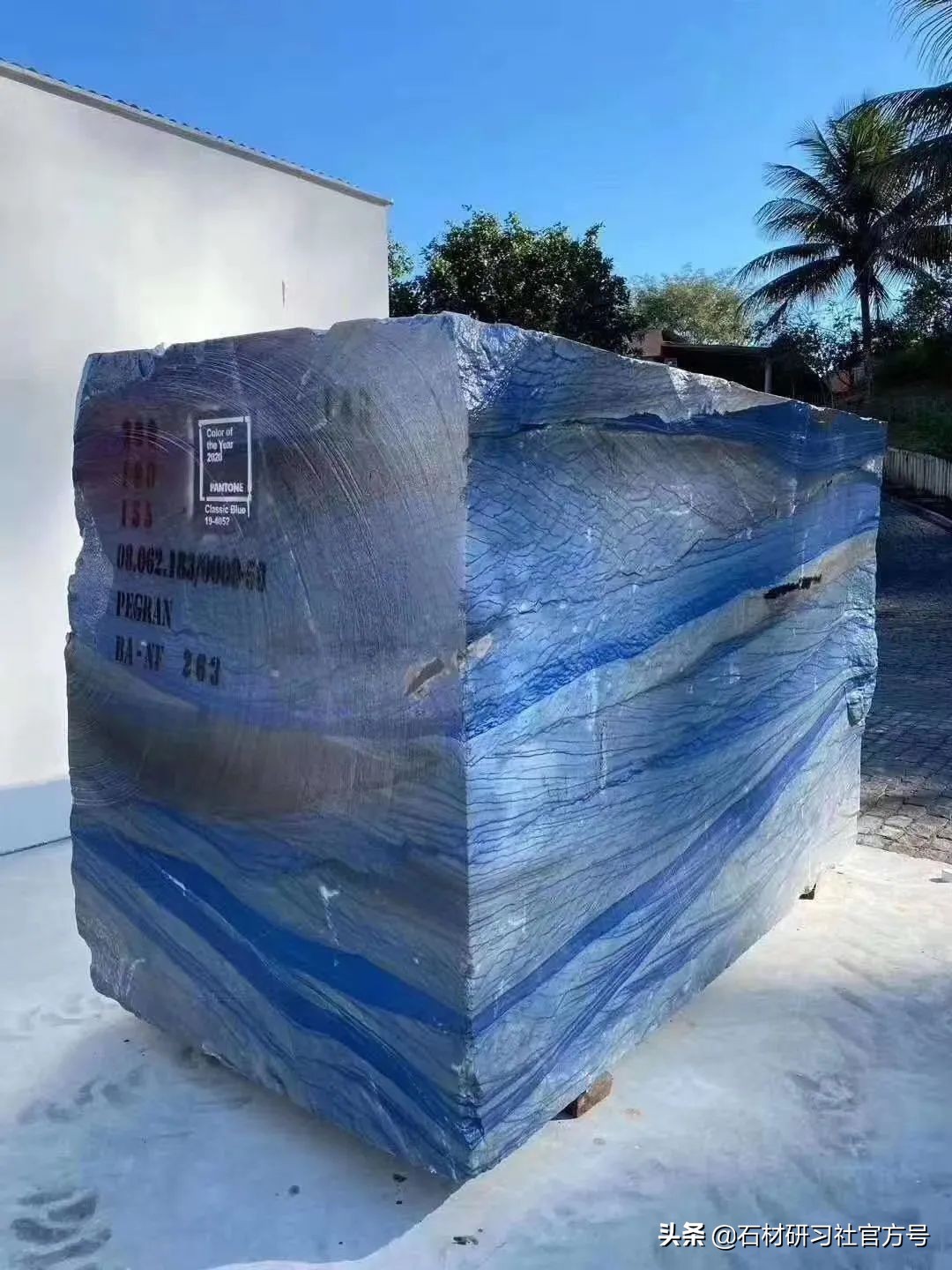 奢石详解,奢石知识科普