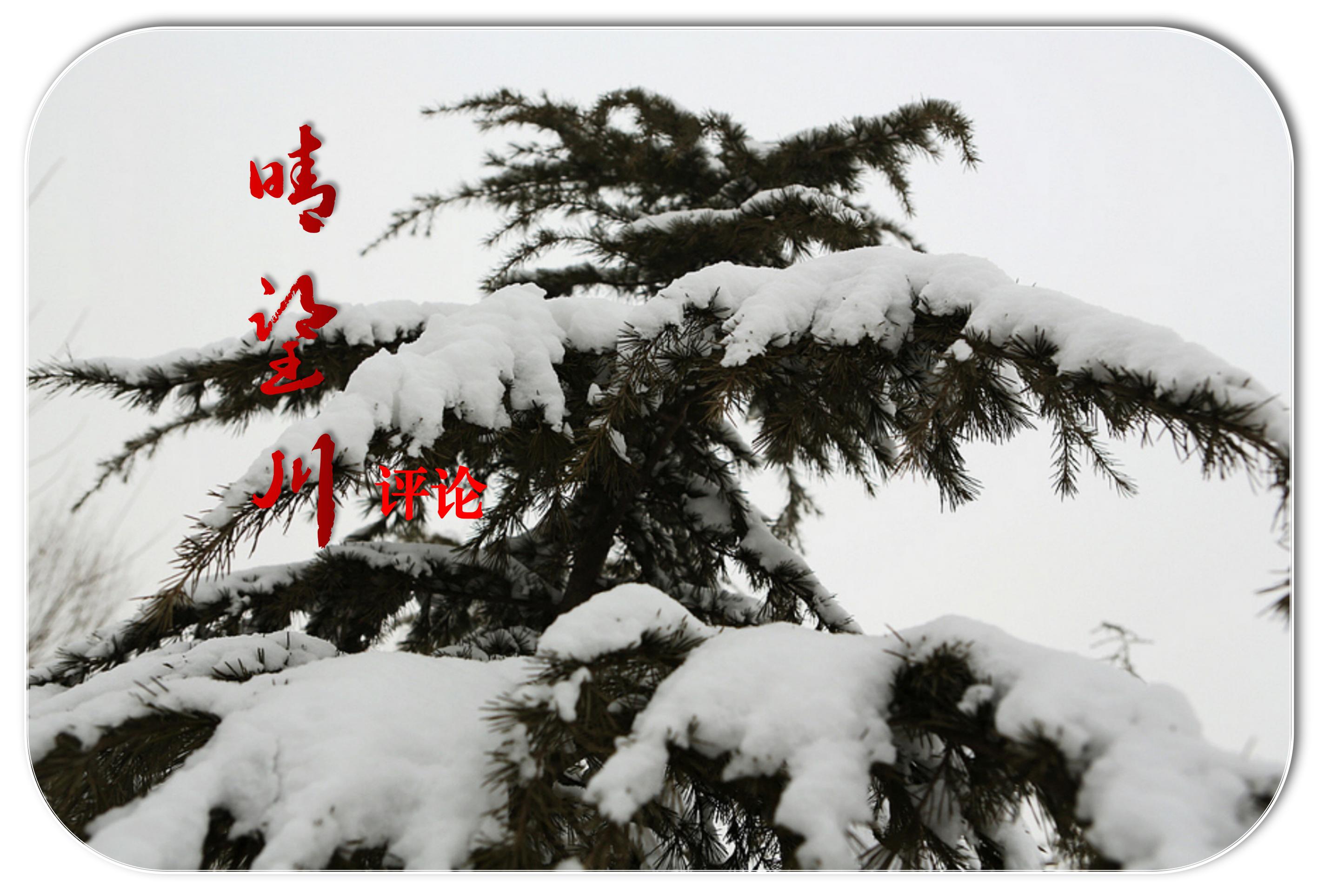 晴望川简介,晴望川文创