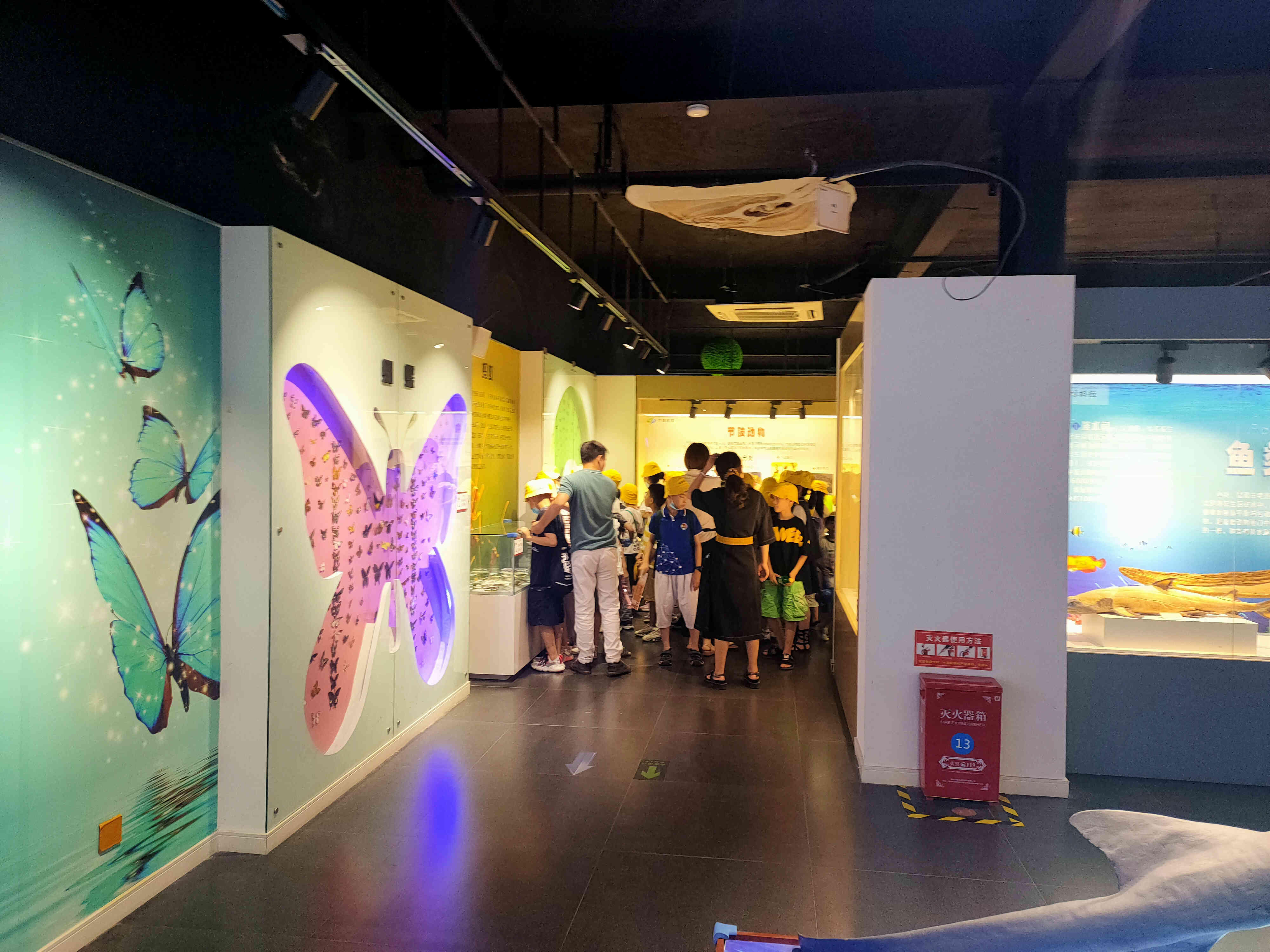 暑假旅游推荐郑州亲子游,端午带孩子去哪玩郑州周边