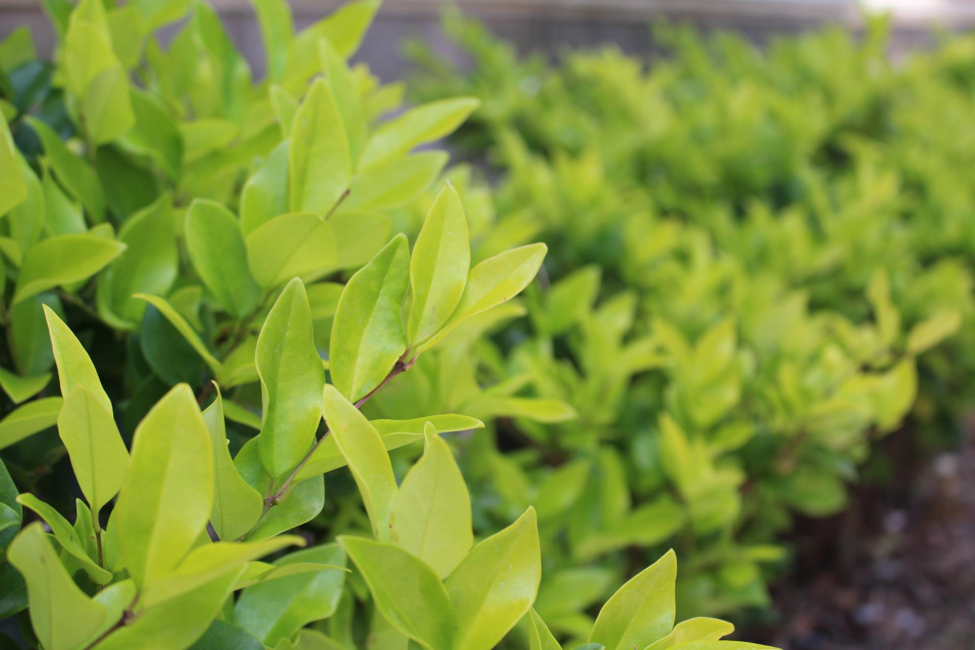 佳能相机100d代值得买吗,2022年佳能100d值得买吗