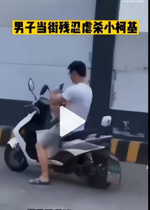 最委屈网红小狗龇牙咧嘴,委屈小狗疑似被虐待