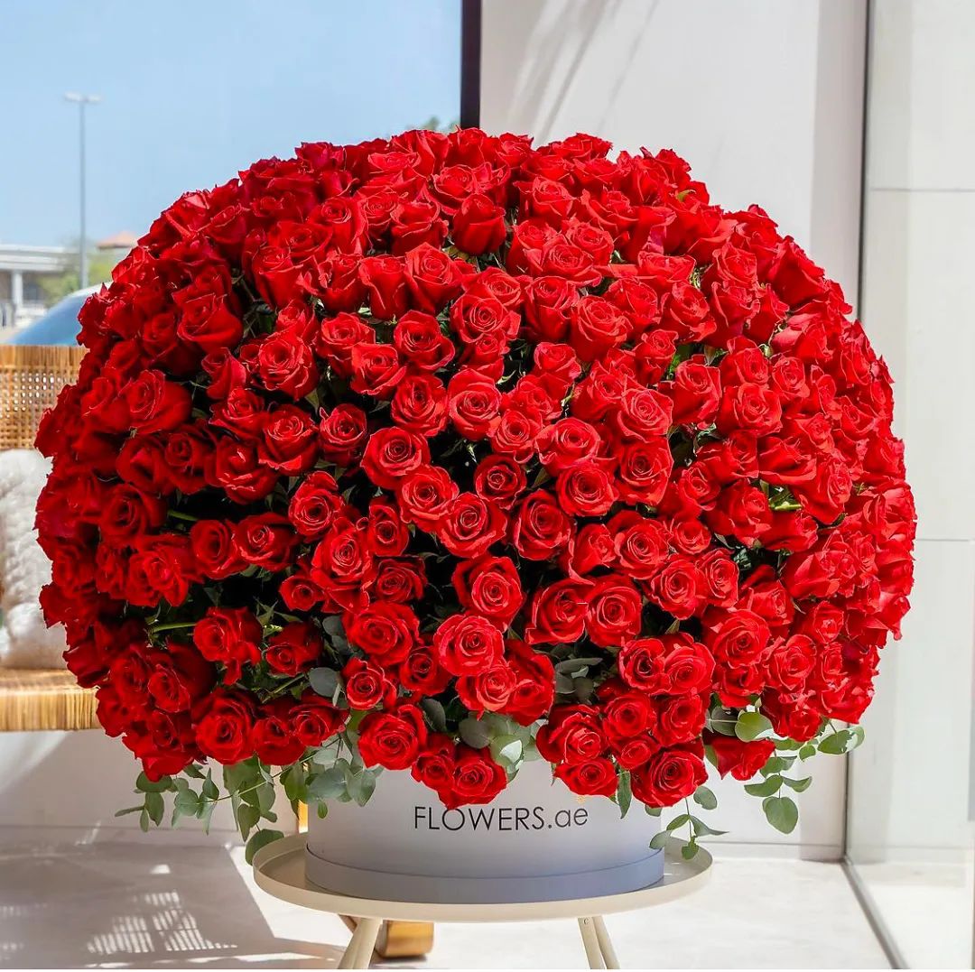 花店玫瑰养护正确方法,玫瑰养护方法延长花期