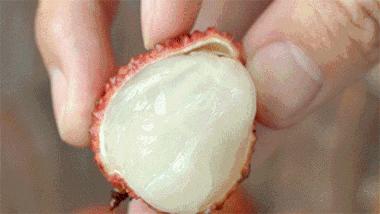 2020年灵山荔枝采摘地点,广西灵山荔枝现摘现吃