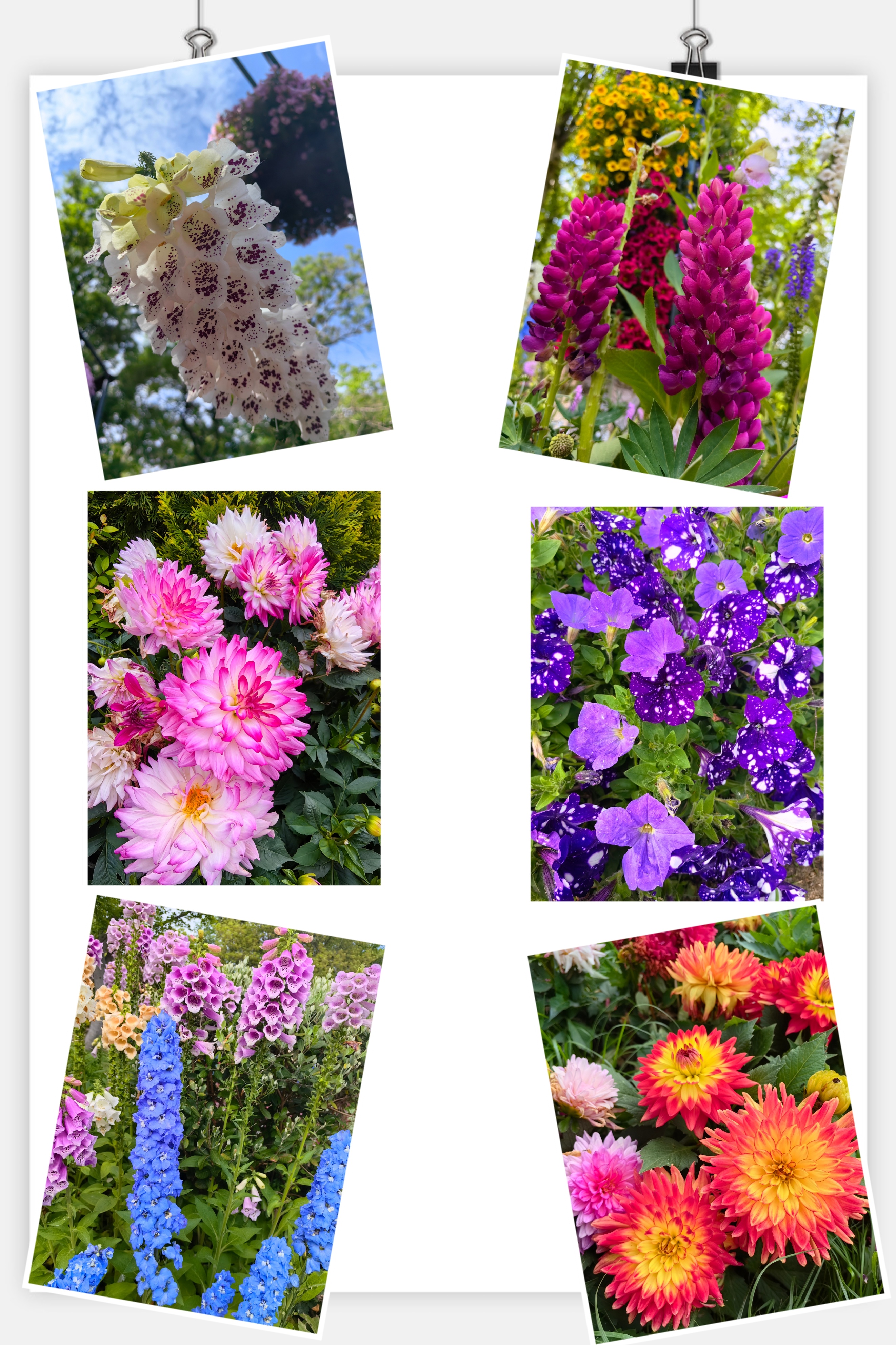 江苏扬州南京旅游攻略,扬州镇江旅游攻略自由行