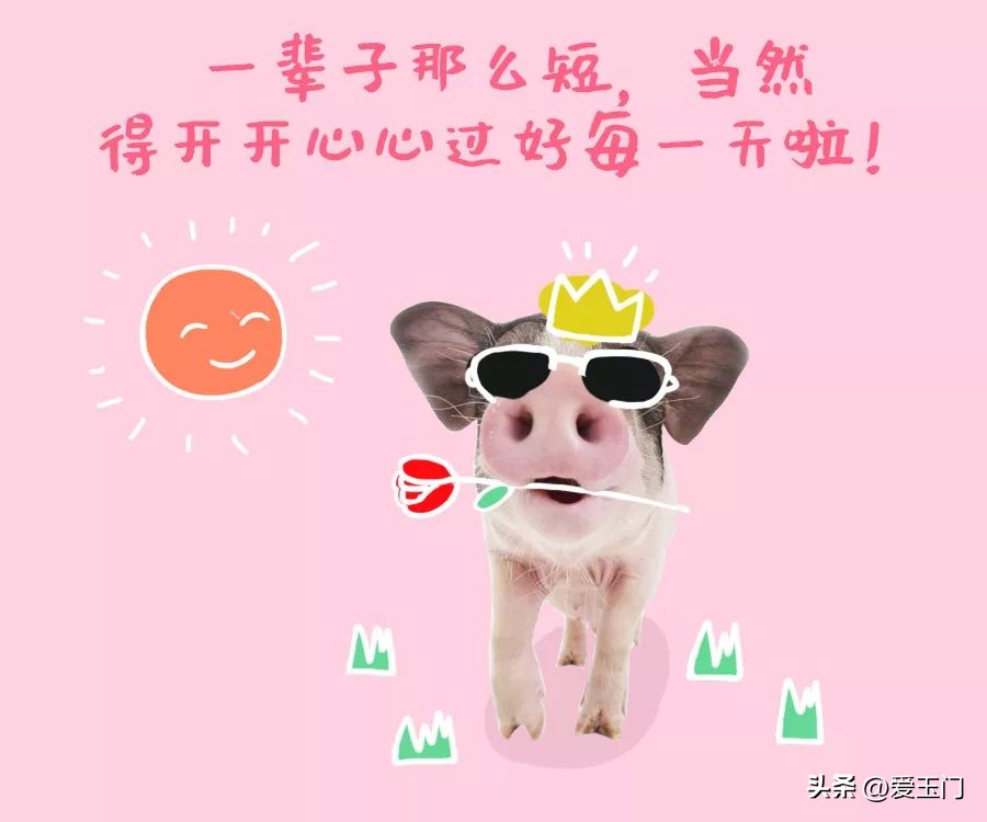 养生要学习,养生要向动物学习