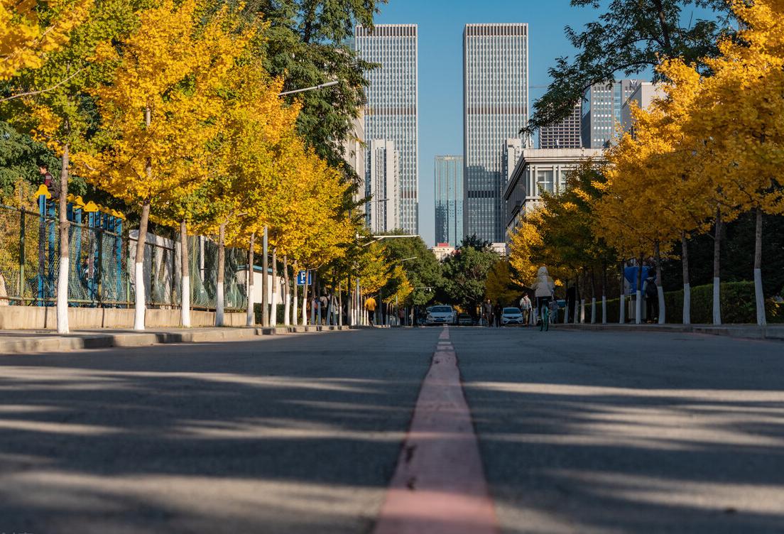末流985和211学校的选择,普通本科和末流211怎么选择
