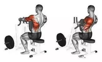 一周健身增肌训练计划,哑铃家庭一周训练计划