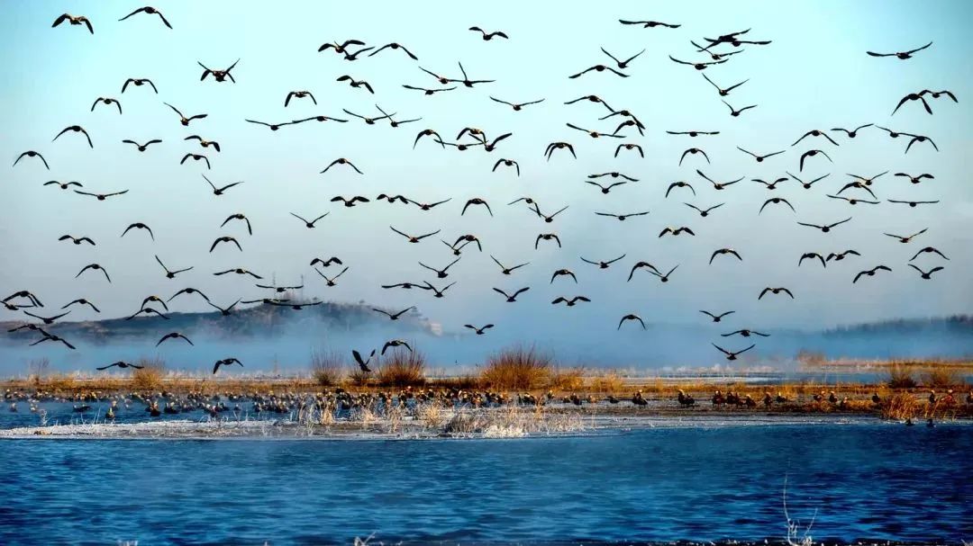 武威曾经全国第三大城市,甘肃曾经的第三大城市