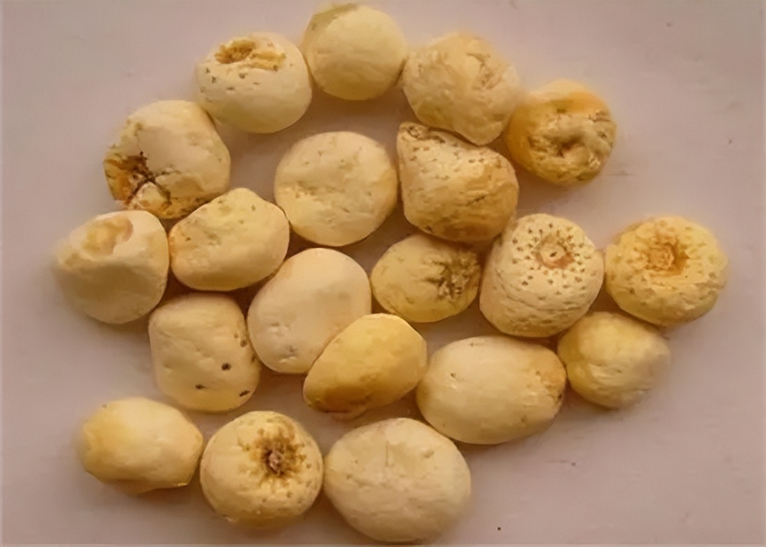 中医治不孕良方,久不孕要吃什么调理