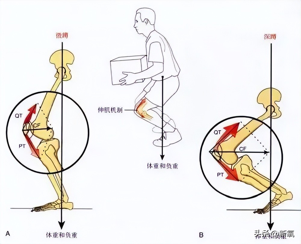 爬楼梯和跑步机哪个效果好,爬楼梯和跑步哪个好