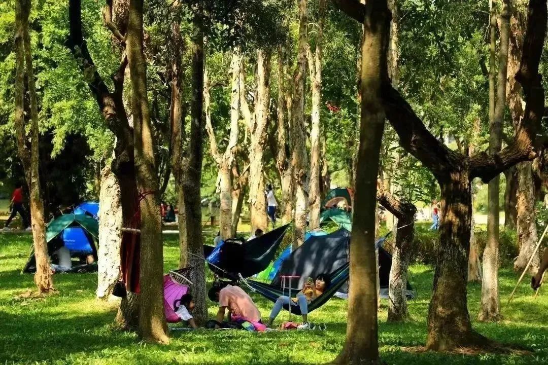 【FENG娱】王佐镇:娱乐+科普+自然,暑假解锁亲子出游新方式!