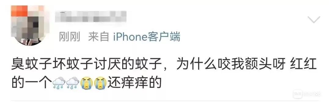 夏天蚊子太烦人教驱蚊的绝招,夏季来临前通过什么方法消灭蚊子