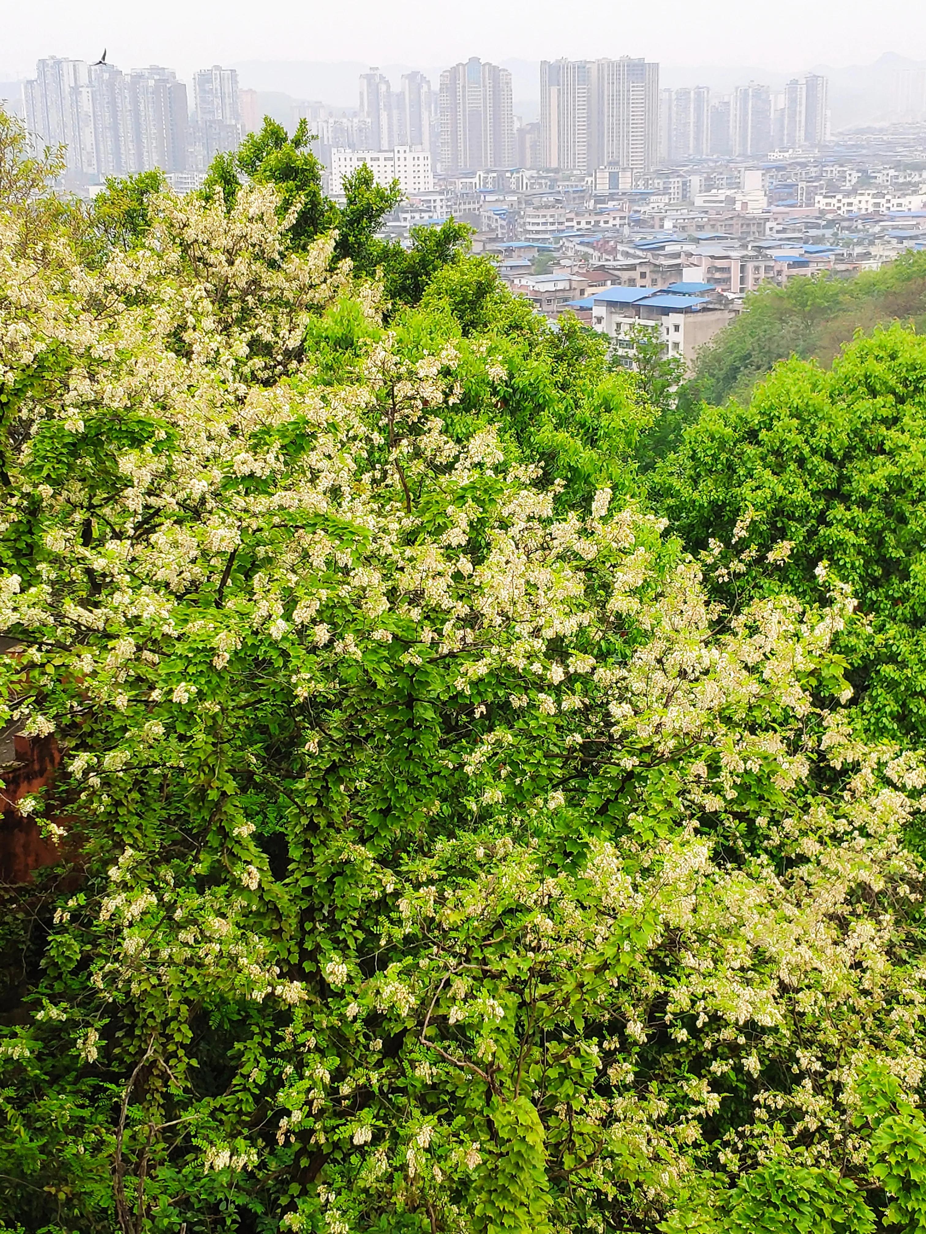 人应该怎样的活着,人应该怎样活着