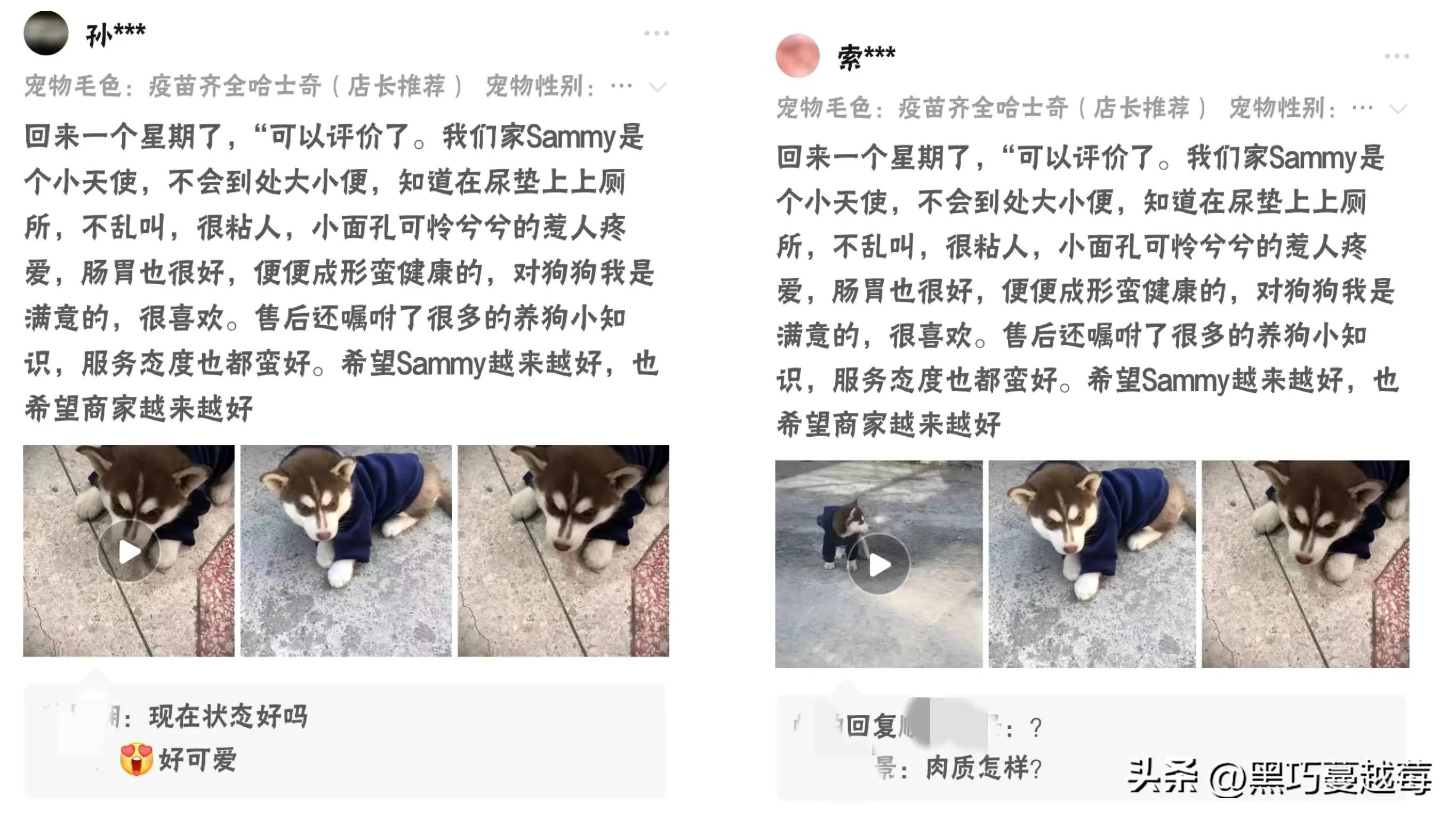 披星戴月来见你,披星戴月去见你