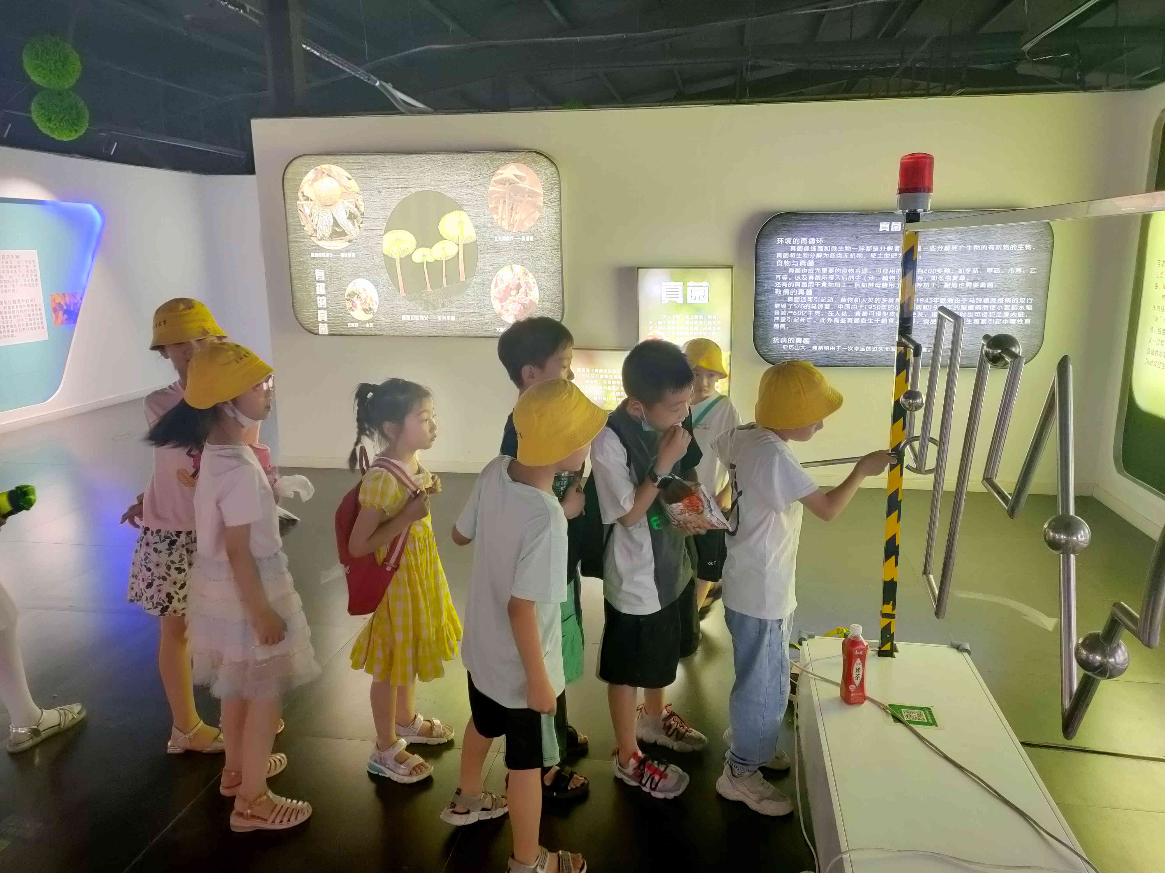 郑州生命自然科学馆,生命科学馆之旅