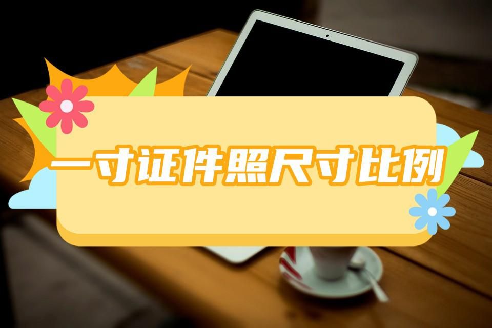 1寸与大一寸证件照尺寸对照表,一寸证件照的尺寸是多少