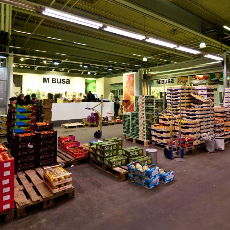 大学生返乡养羊发家致富,适合农村创业的最新致富项目