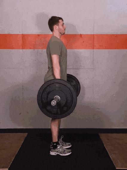 卷尾骨的功效,卷尾骨有什么好处