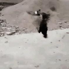 “姑娘，你知道衣服上的字是什么意思吗？”哈哈哈自信的姑娘最美