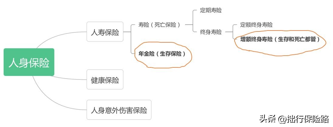目前市场上增额终身寿最好的产品,30年的增额终身寿值得买吗