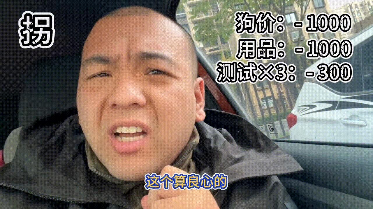 怎样在网上买狗不踩雷,买狗需要提防的套路