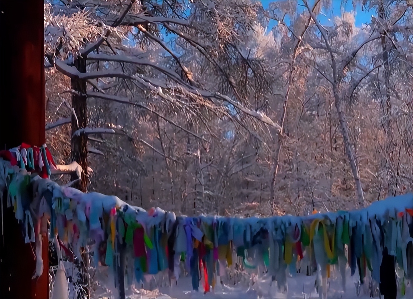 零下71度全世界最冷的地方游牧,在俄罗斯最冷的地方达到零下71度