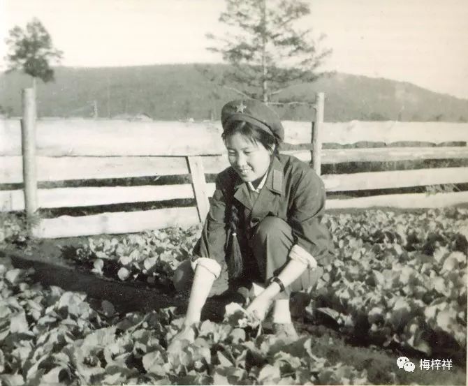 战友作品:“北极”女兵(黄爱明)梅梓祥