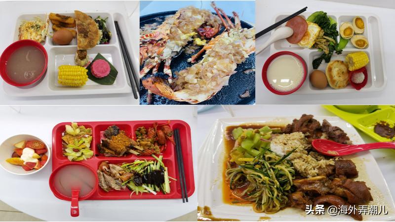 肯尼亚动物大迁徙泪流满面,肯尼亚动物大迁徙深度游