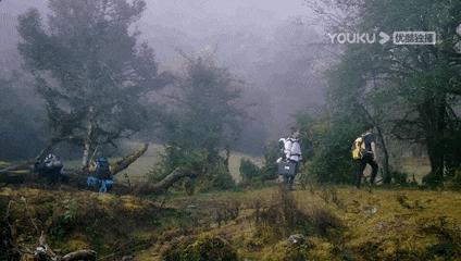 鍐呭ūbeta,鍐呭ūbeta鍜宎lpha