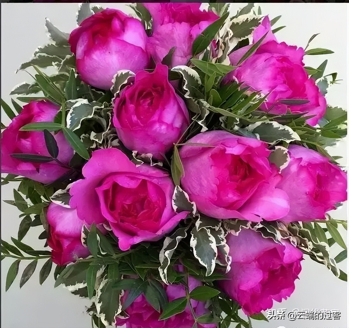 1到99朵玫瑰的含义图片,1到99朵玫瑰花语是什么