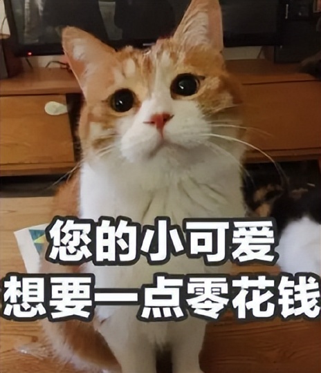 艺人是很孤独的职业,艺人是孤独的职业