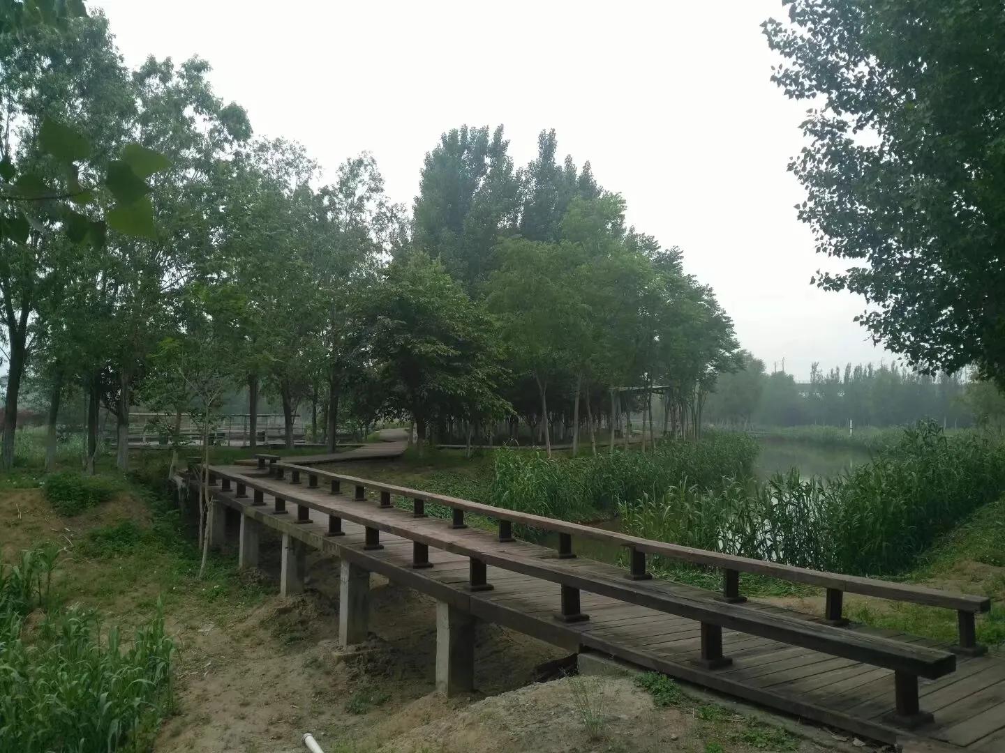 你对秦腔戏曲有什么新的认识,秦腔语言鉴赏札记