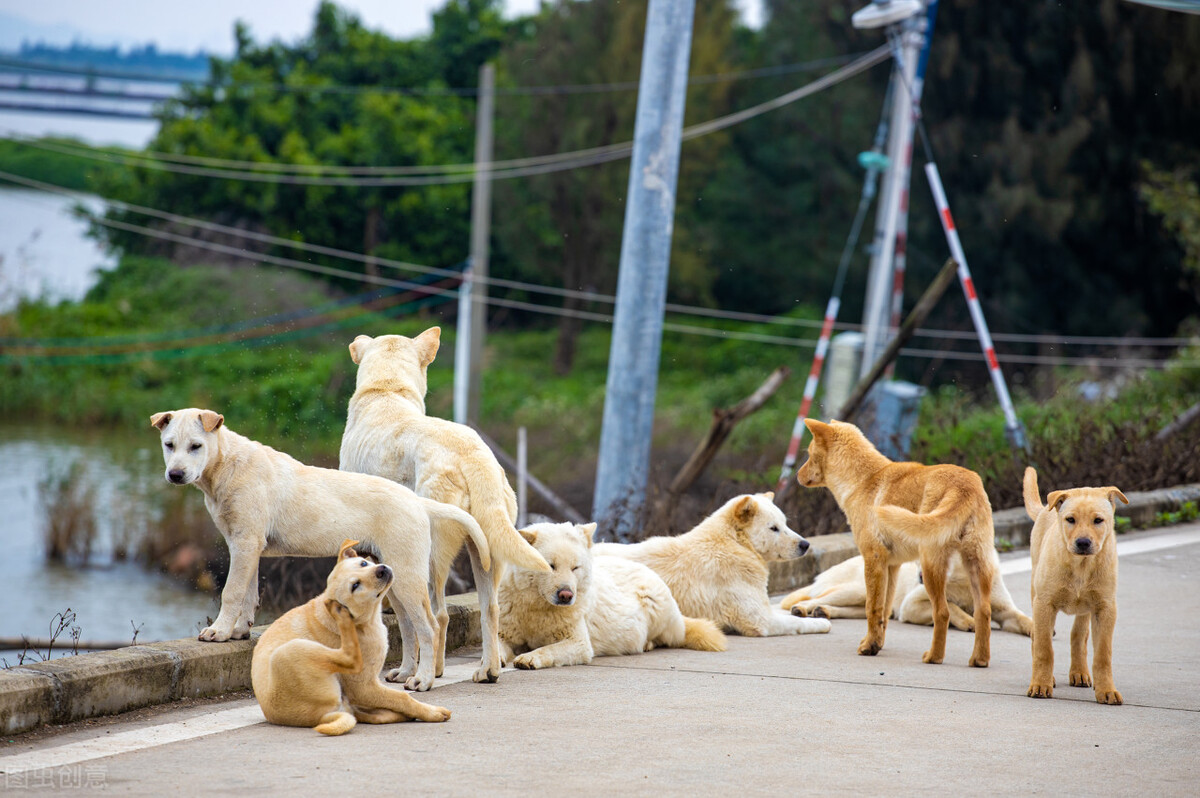 璐垫腐鏈夊崡骞块珮閾佺帀鏋楁湁鍗楁繁楂橀搧,鍗楀箍楂橀搧璐垫腐鐜夋灄涔嬩簤