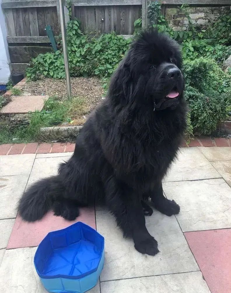 买玩具没看尺寸,买玩具看好尺寸