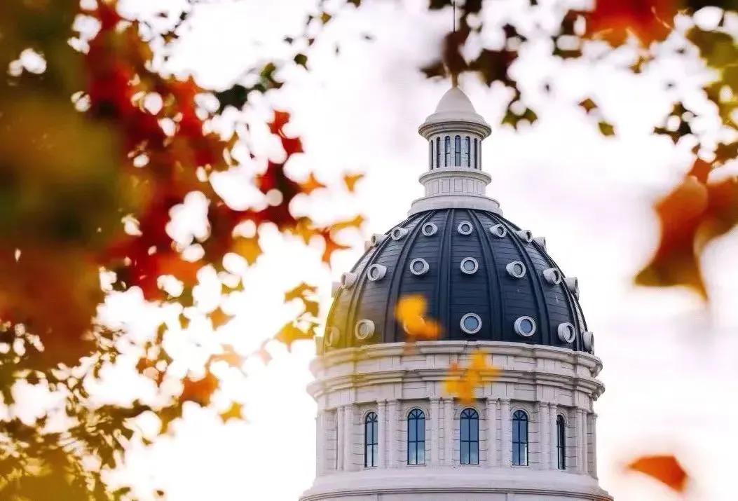 来到农大的心得体会,农大心得