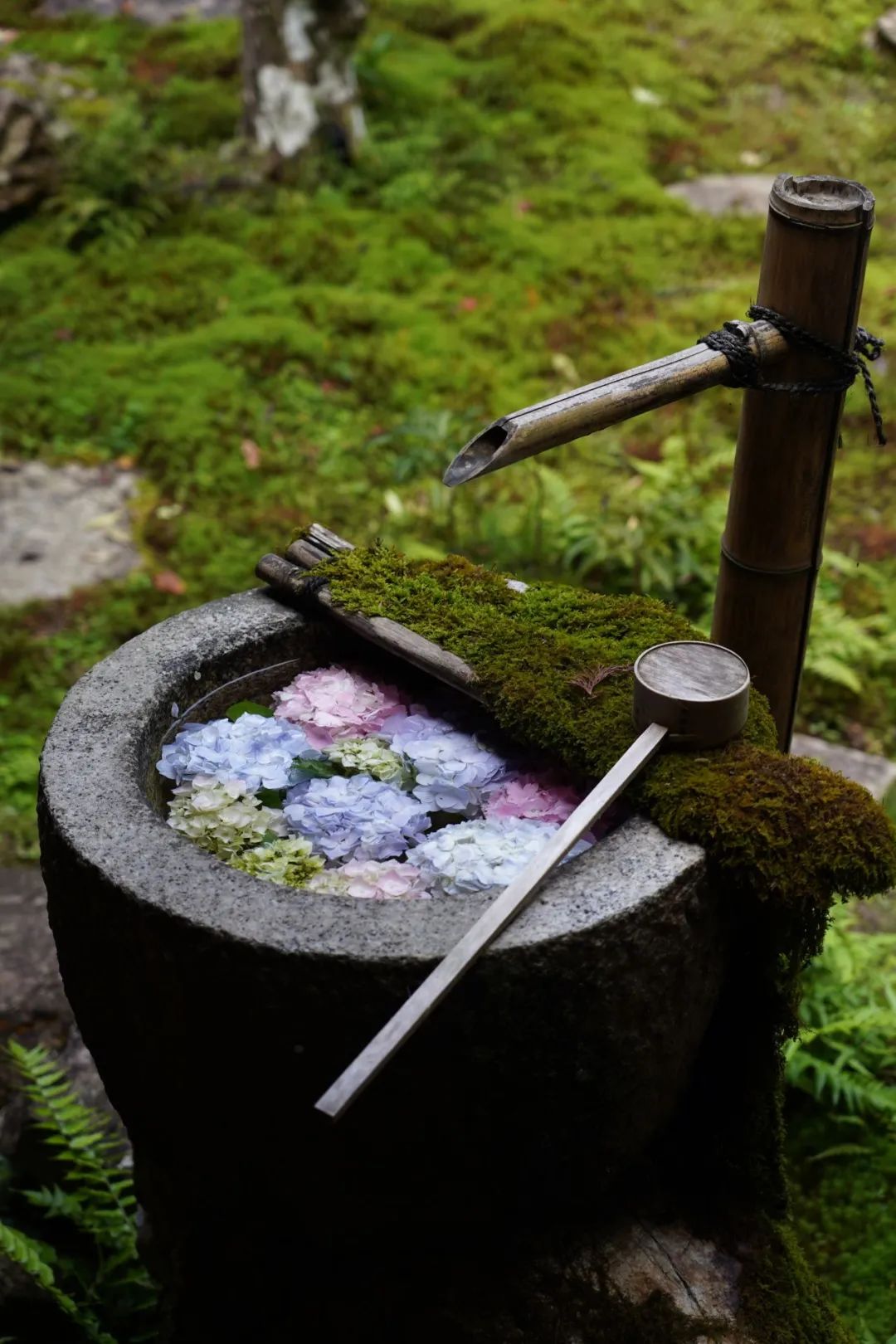自然跌水景观,水幕瀑布跌水景观效果图