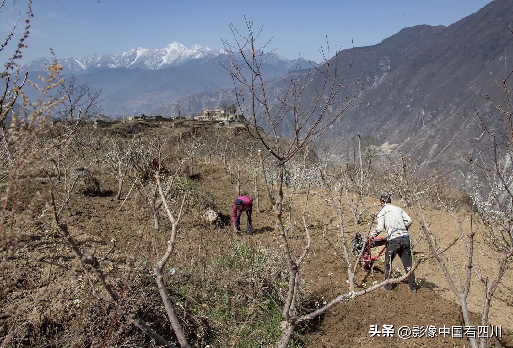 刘国兴的2022年:冬去春来,愿岁月静好(上集)