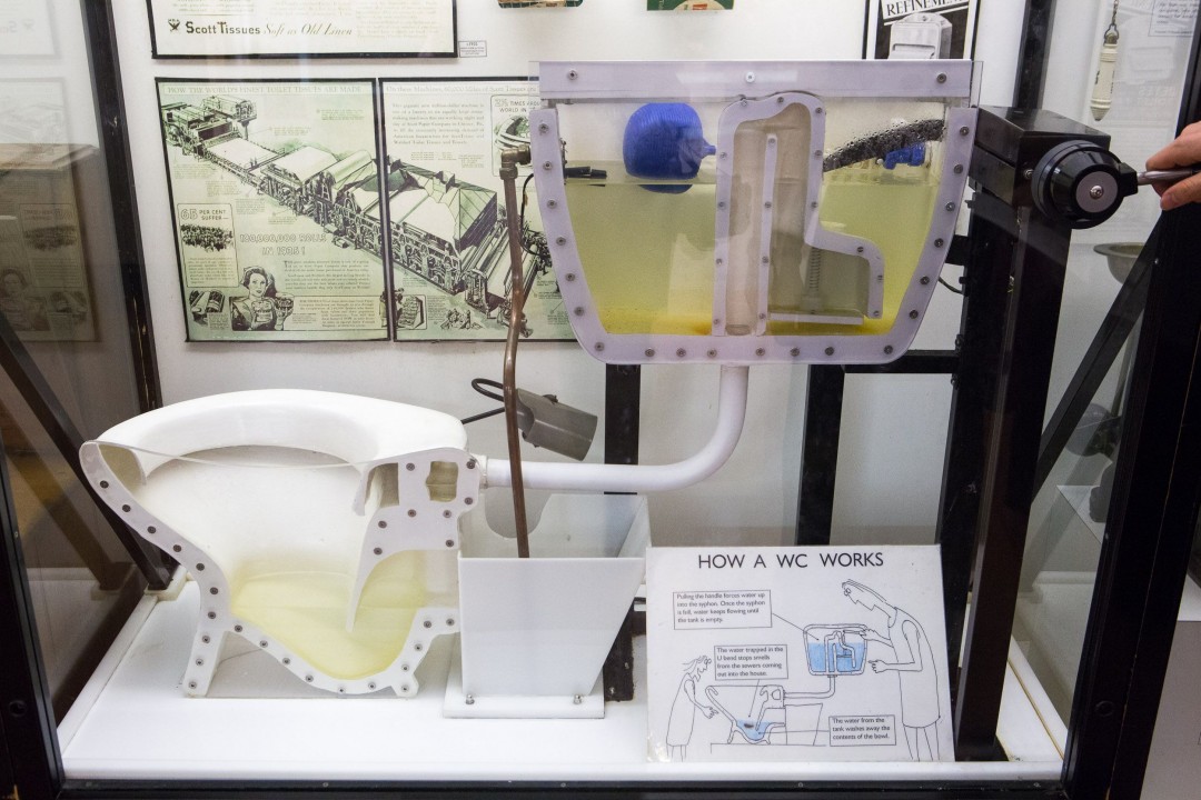 60样东西，切成一半，让你看得一清二楚