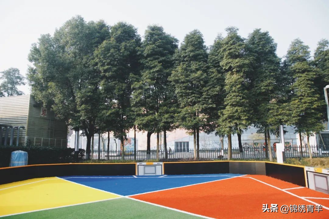 今天，你在哪里晒太阳？走！一起户外撒欢！